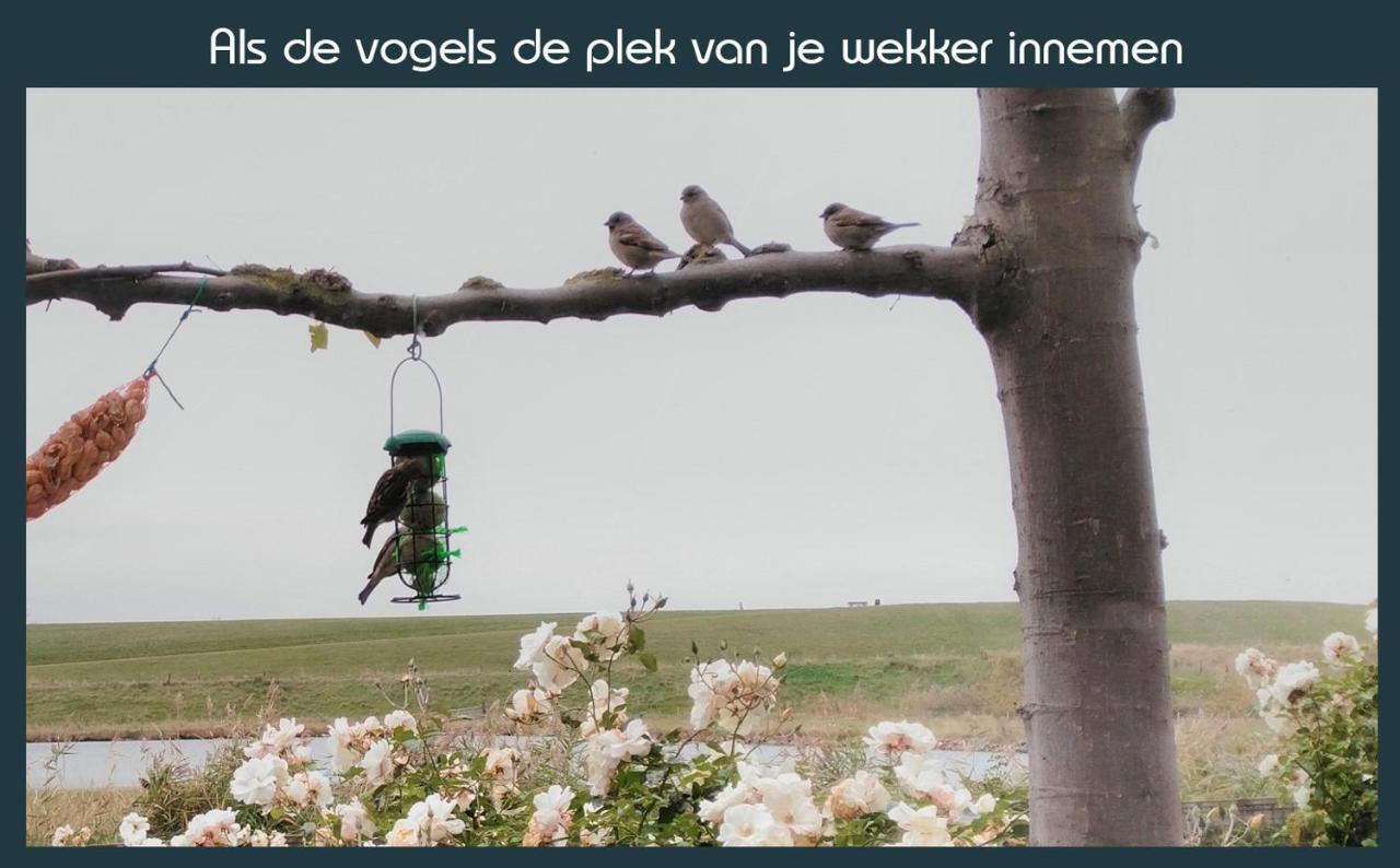 Vakantiewoning Deltahof Ellewoutsdijk Eksteriør billede