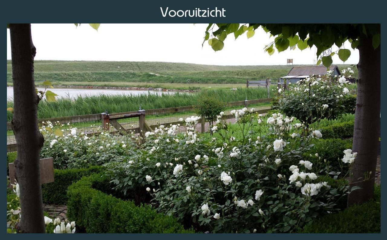 Vakantiewoning Deltahof Ellewoutsdijk Eksteriør billede