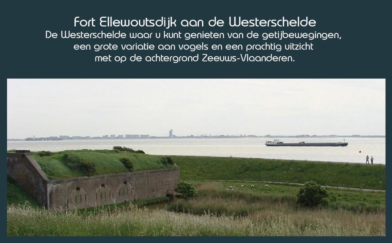 Vakantiewoning Deltahof Ellewoutsdijk Eksteriør billede