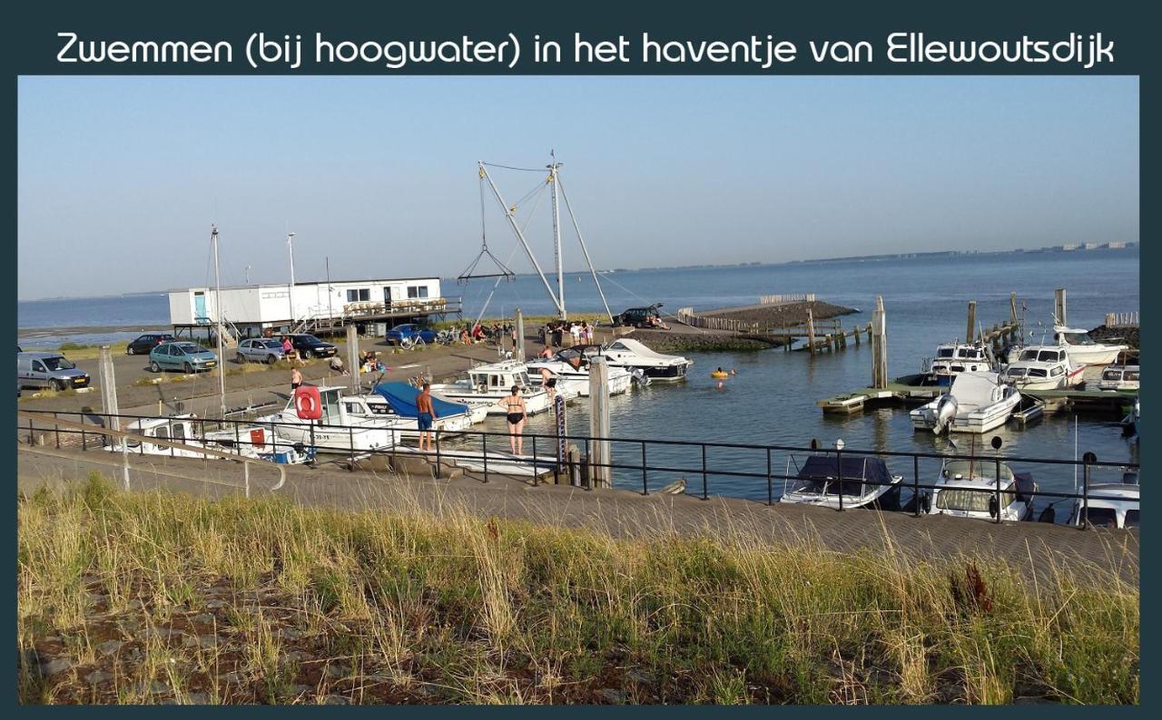 Vakantiewoning Deltahof Ellewoutsdijk Eksteriør billede