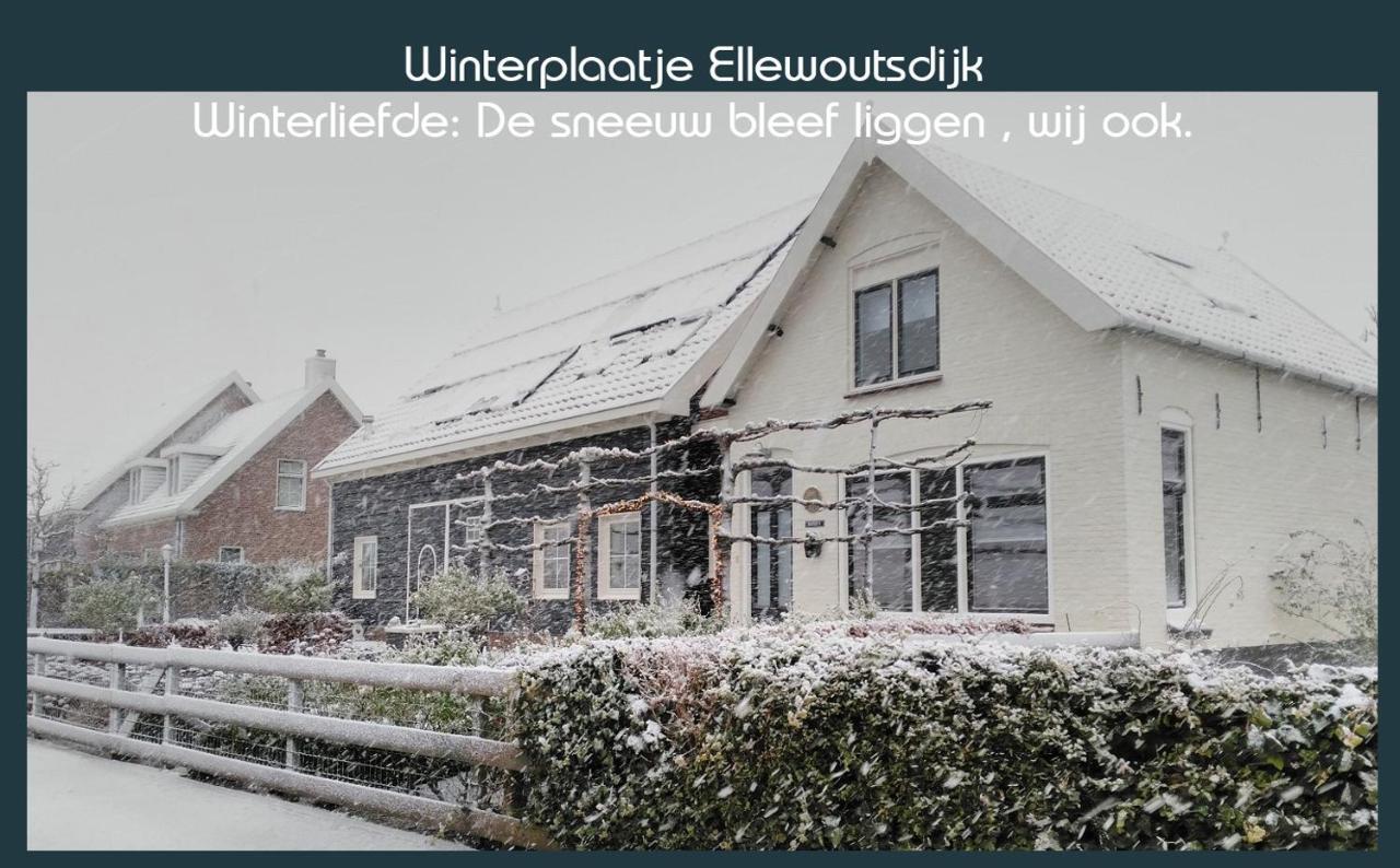 Vakantiewoning Deltahof Ellewoutsdijk Eksteriør billede