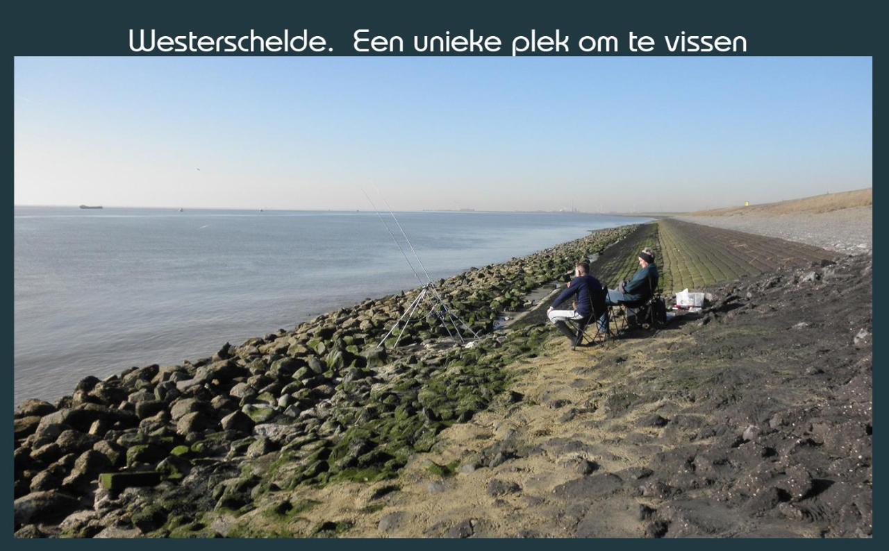 Vakantiewoning Deltahof Ellewoutsdijk Eksteriør billede